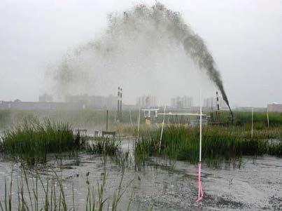 Sediment slurry is sprayed in a high arc across a shallow wetland at Pepper Creek, with marsh vegetation and monitoring stakes surrounding the placement area.