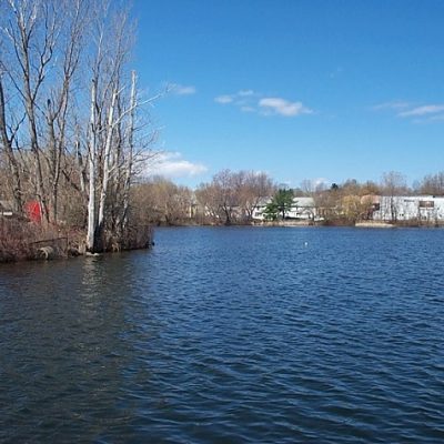 View across Silver Lake, with open blue water bordered by leafless trees and shoreline vegetation. Residential and industrial buildings are visible along the opposite shore beneath a clear blue sky.