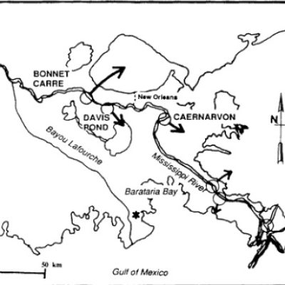Map of southeastern Louisiana showing the Mississippi River, New Orleans, Barataria Bay, Bayou Lafourche, and the Gulf of Mexico, with locations labeled Bonnet Carré, Davis Pond, and Caernarvon and arrows indicating water diversions.