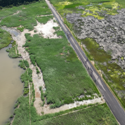 Aerial view of Chesapeake Bay wetlands showing a narrow road separating dense green marsh vegetation from areas of open water and patchy tidal marsh.