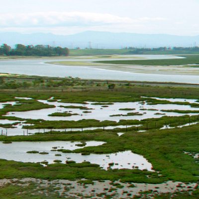 Expansive tidal marsh with winding waterways, shallow pools, and patches of vegetation, with distant hills on the horizon.