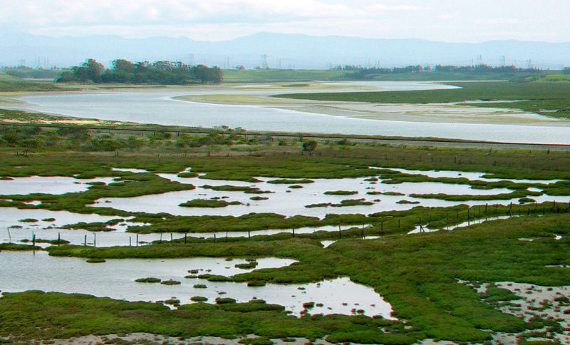Expansive tidal marsh with winding waterways, shallow pools, and patches of vegetation, with distant hills on the horizon.