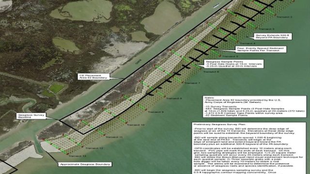 Aerial map showing the preliminary seagrass survey plan for the Corps of Engineers Survey Area 62 in Galveston County, Texas. The plan marks the placement-area boundary, survey transects, seagrass sampling points, and survey limits along a narrow shoreline site.