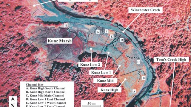 False-color aerial image of Kunz Marsh showing labeled monitoring sites, including Kunz High, Mid, Low 1 and Low 2, plus nearby Danger Point High and Tom’s Creek High. Lettered channels A–H and Winchester Creek are identified, with a north arrow and 50-meter scale.