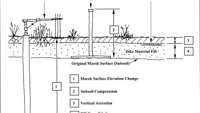 Cross-sectional diagram of marsh elevation monitoring methods showing a sedimentation-erosion table, subsoil elevation monument, and feldspar horizon marker. The figure illustrates measurements of marsh surface elevation change, subsoil compression, vertical accretion, and fill consolidation above the original marsh surface.