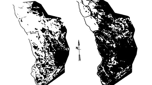 Side-by-side black-and-white maps comparing marsh and open-water patterns in 1945 and 1980, showing substantially greater fragmentation and apparent wetland loss by 1980; a north arrow appears between the maps.