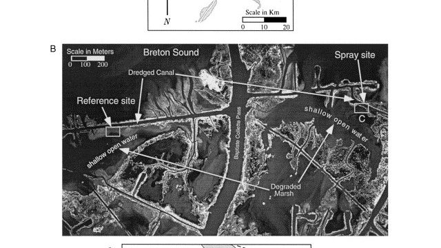 Three-panel figure showing a coastal Louisiana marsh study near Venice and Empire. A regional map locates the site; an aerial image identifies a dredged canal, reference site, spray site, shallow open water, and degraded marsh; and a schematic shows the sediment spray application area between a canal and shallow open water.