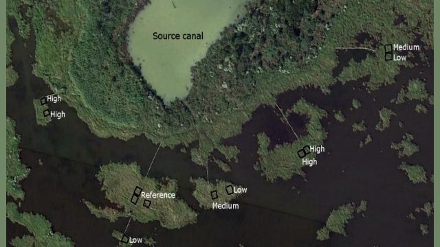 Aerial image of a coastal wetland experiment showing a source canal and multiple small study plots labeled reference, low, medium, and high, distributed among fragmented marsh vegetation and open water.