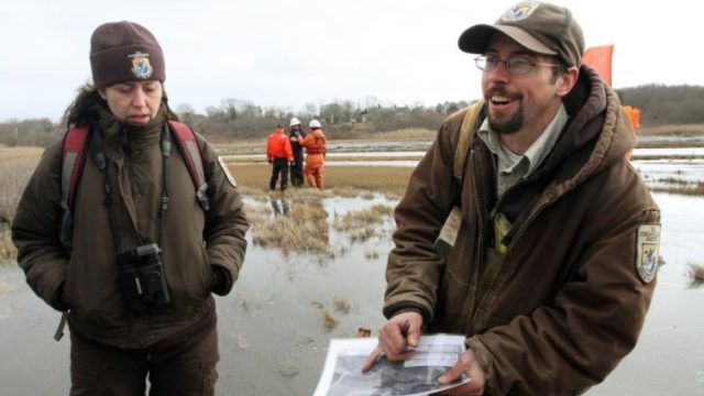 Two field staff stand in a flooded coastal marsh, one holding and pointing to a site map while the other listens; additional workers in high-visibility clothing are visible in the background.
