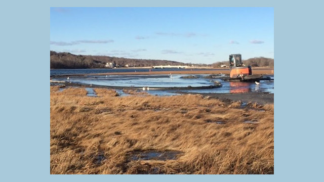 Small excavator working in a shallow, flooded marsh restoration area, surrounded by channels and exposed sediment, with dormant marsh grasses in the foreground and gulls scattered across the site.