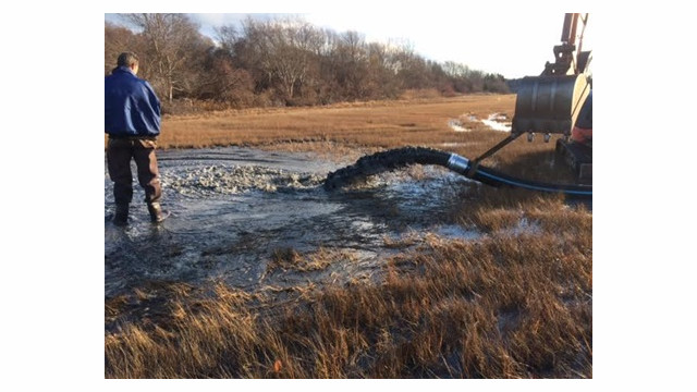 Worker stands in a marsh beside a hose discharging a slurry of water and sediment onto the wetland surface, illustrating thin-layer sediment placement during marsh restoration.