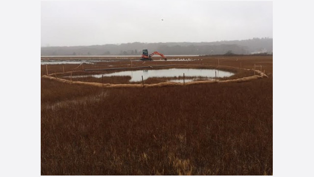 Coastal marsh restoration site with a shallow, water-filled enclosure bordered by sediment-control material; an excavator works in the distance amid dormant marsh vegetation.