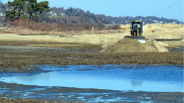 Bulldozer grading a mound of sediment on a coastal marsh restoration site, with shallow pools and exposed wetland vegetation in the foreground and dunes and homes in the distance.