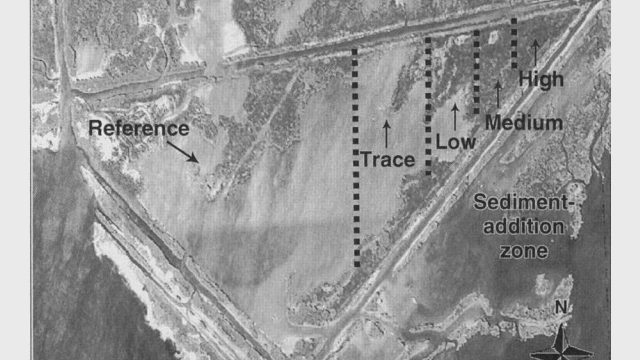 Grayscale aerial image of a coastal wetland study site showing a reference area and sediment-addition zones labeled trace, low, medium, and high, with a 1-kilometer scale and north arrow.
