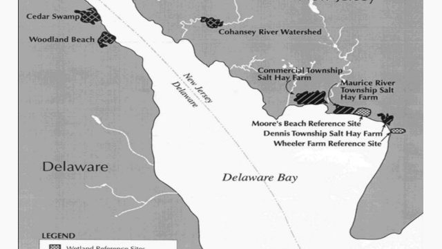 Map of Delaware Bay showing wetland reference and restoration sites along the New Jersey shoreline, including locations near Alloways Creek, the Cohansey River, and Maurice River Township. The map also shows the New Jersey–Delaware boundary, Delaware Bay, the Atlantic Ocean, a north arrow, and a kilometer scale.