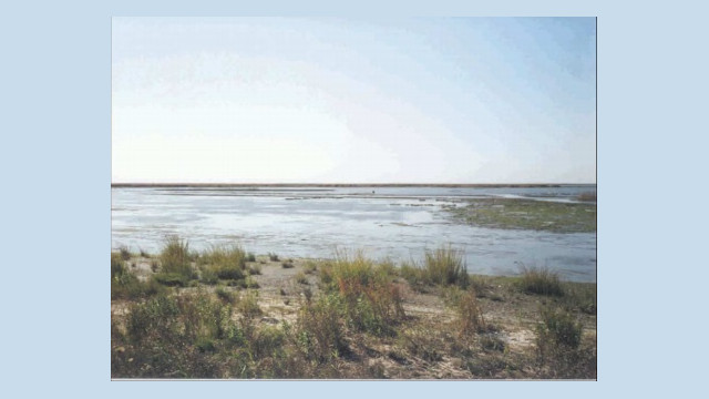 Broad, shallow coastal marsh with patches of open water, exposed sediment, and sparse wetland vegetation extending toward a flat horizon under a clear sky.